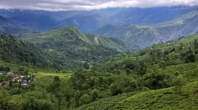 Kurseong Scenic Ridge Land Plot